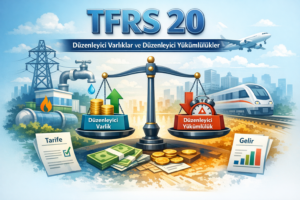 tfrs 20 nedir